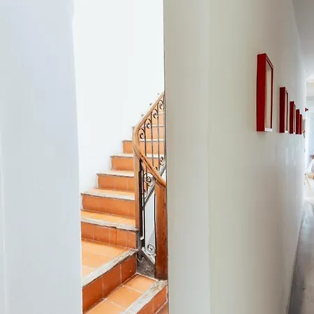 Moonkey Calle Mayor Apartman Alicante